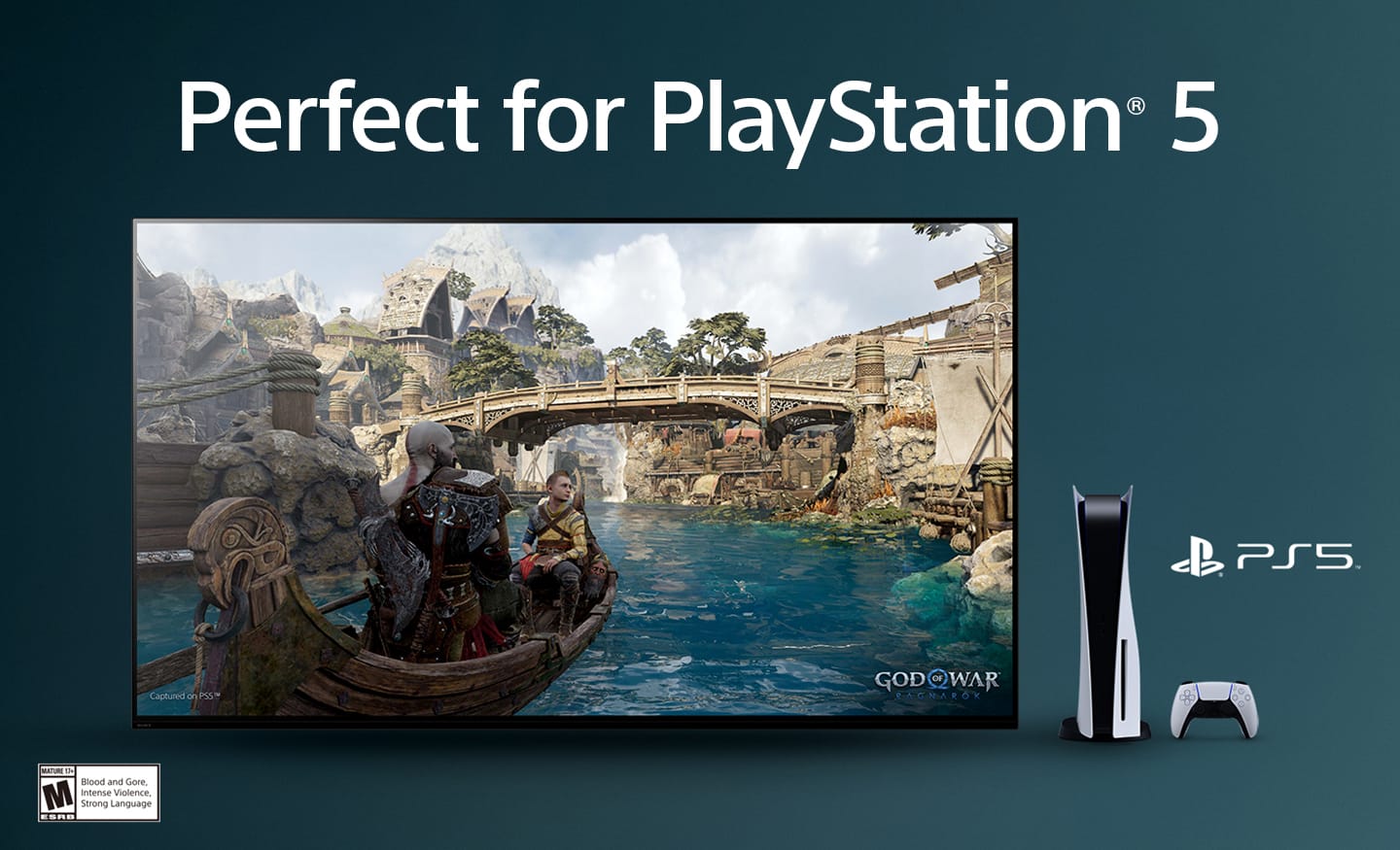 Perfect for PlayStation 5